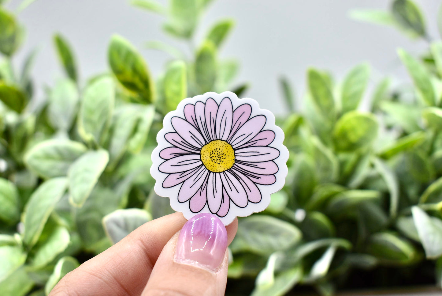 Pink Daisy Sticker
