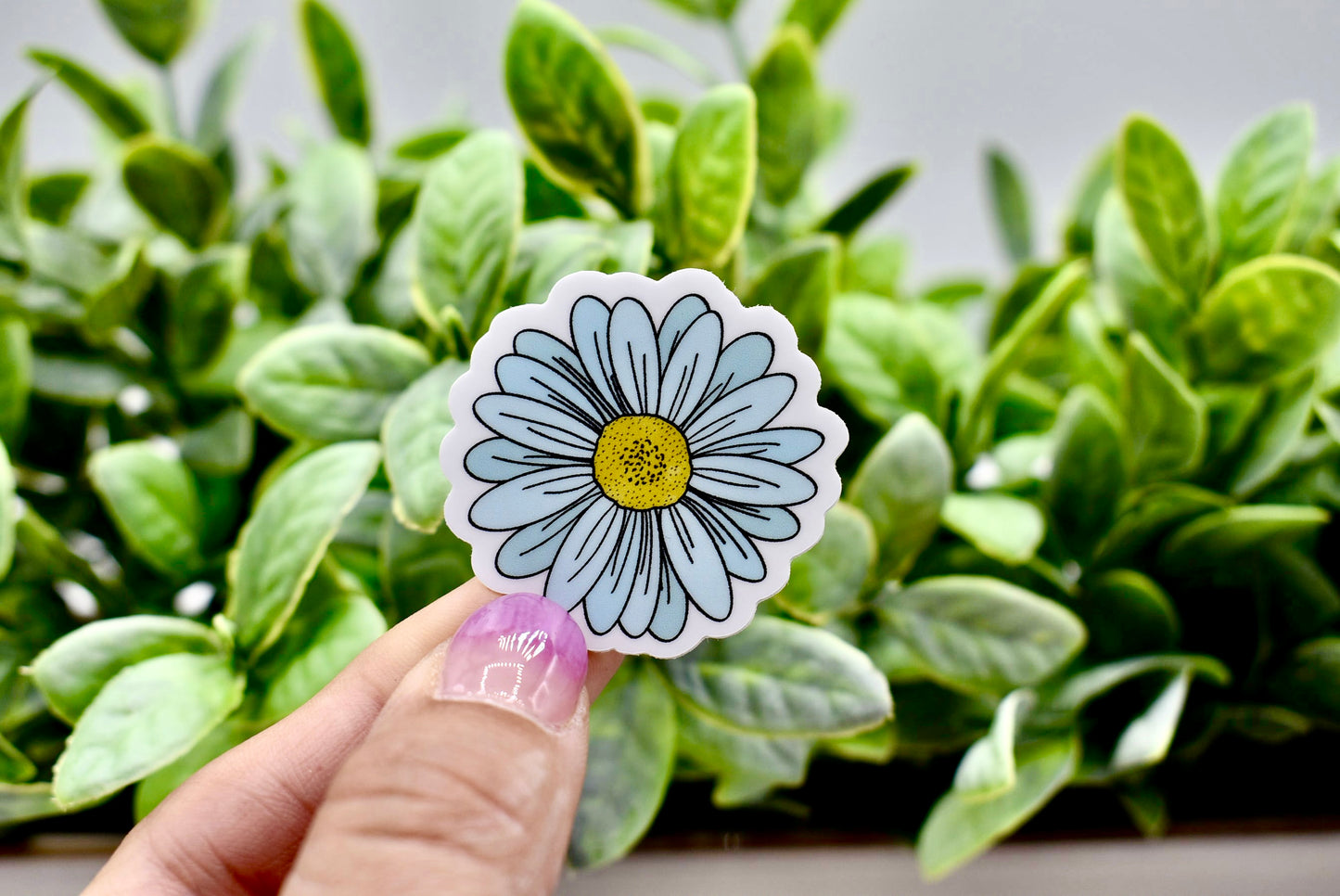 Blue Daisy Sticker
