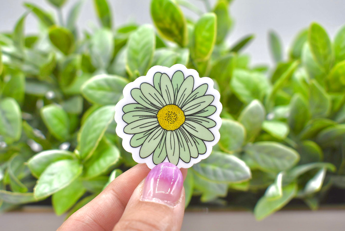 Green Daisy Sticker