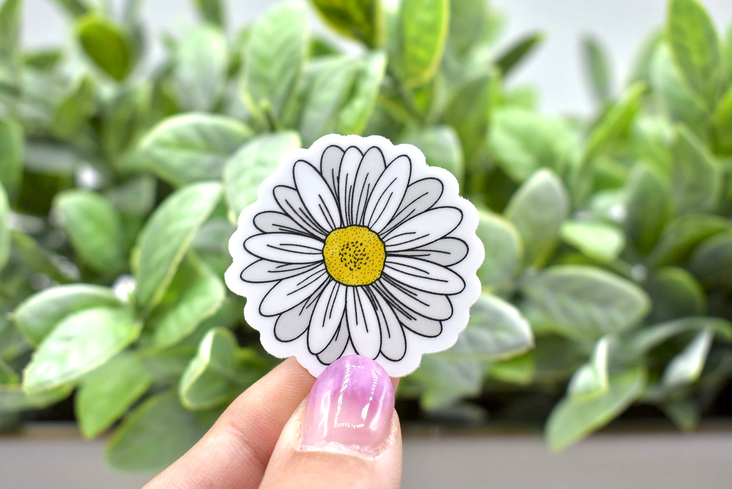 White Daisy Sticker