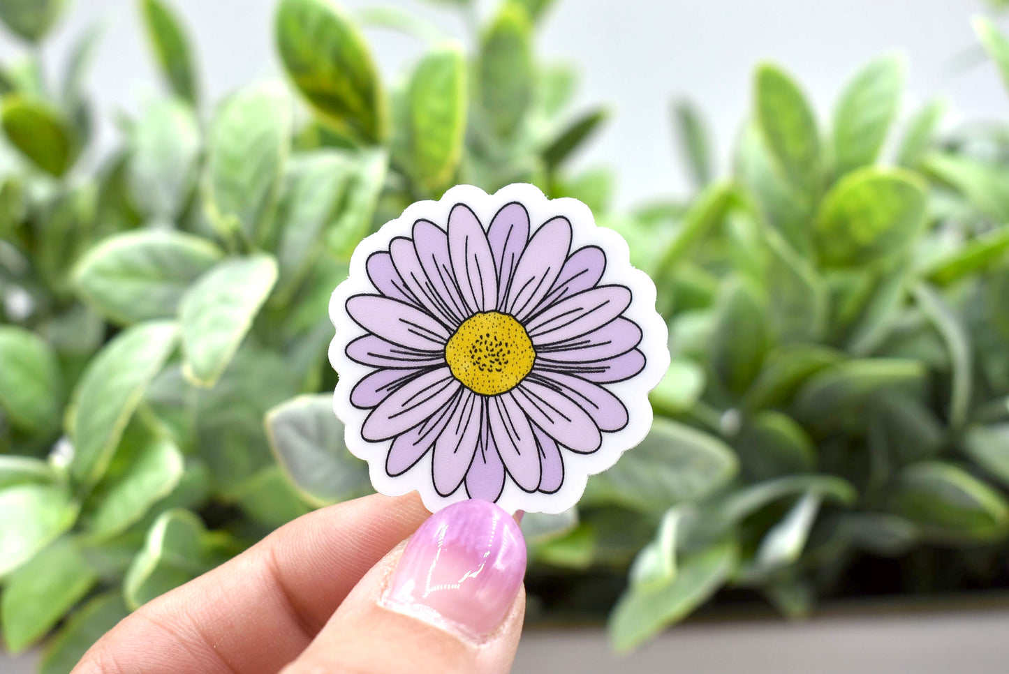 Purple Daisy Sticker