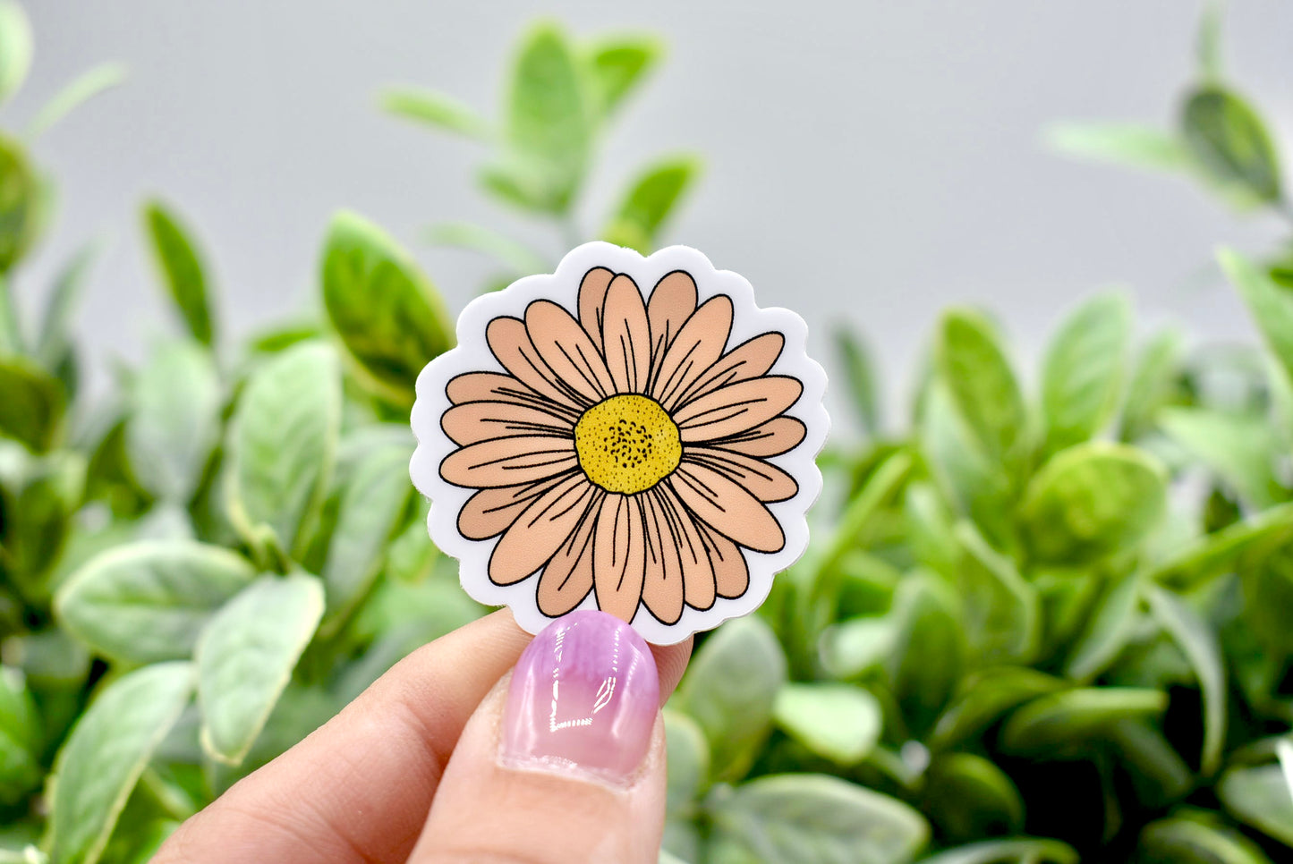 Peach Daisy Sticker
