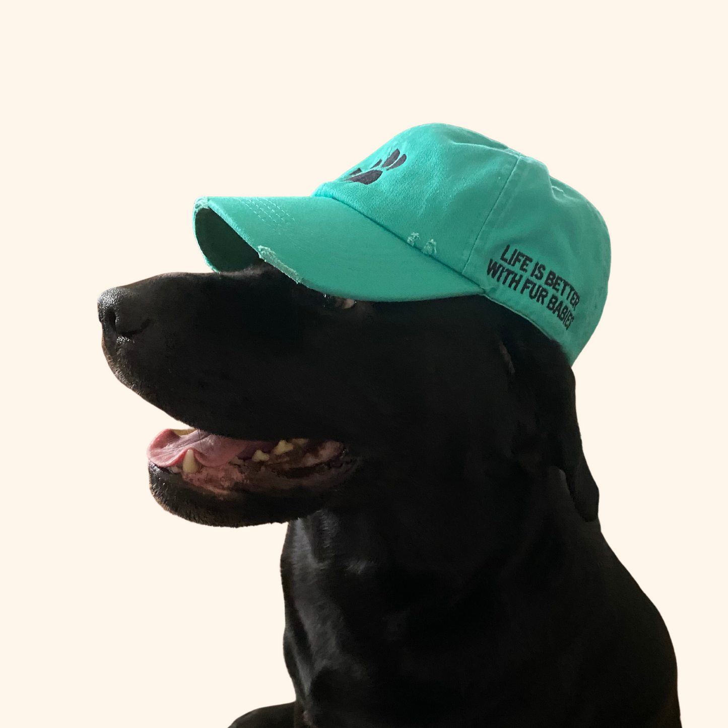 'Life Is Better' Ponytail Hat