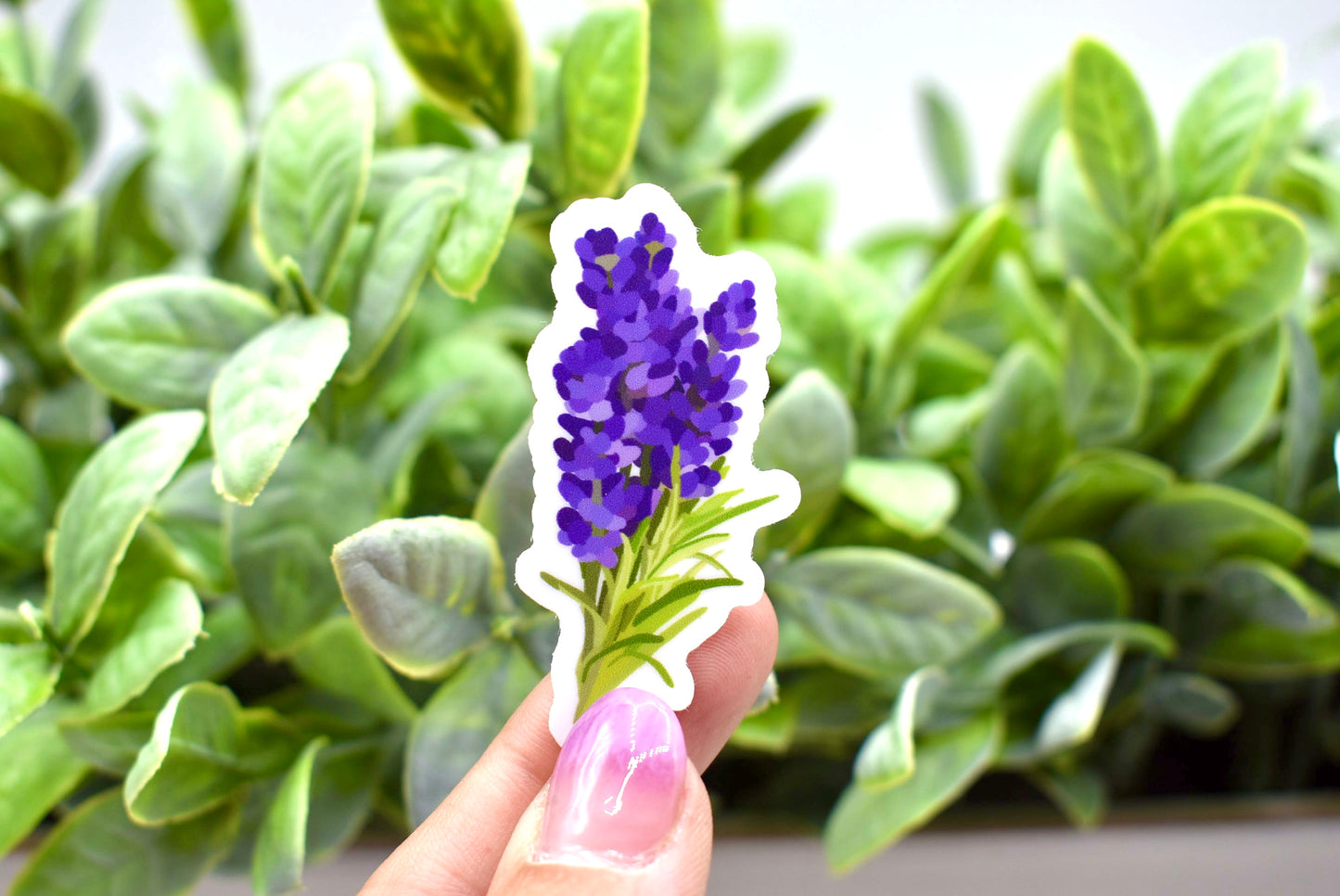 Lavender Flower Sticker